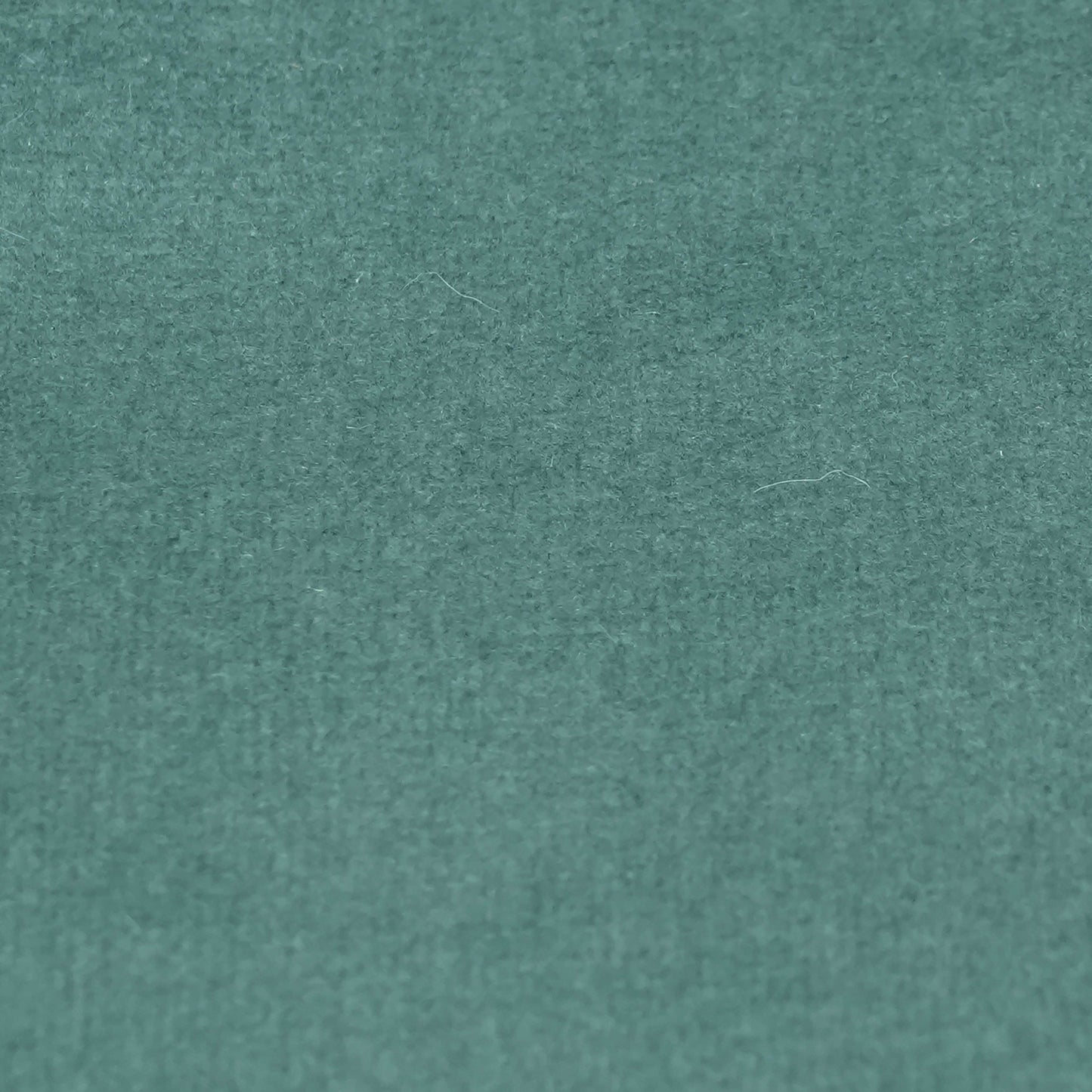 Fabric Sample