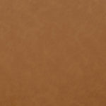 Fabric Sample