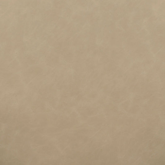 Fabric Sample