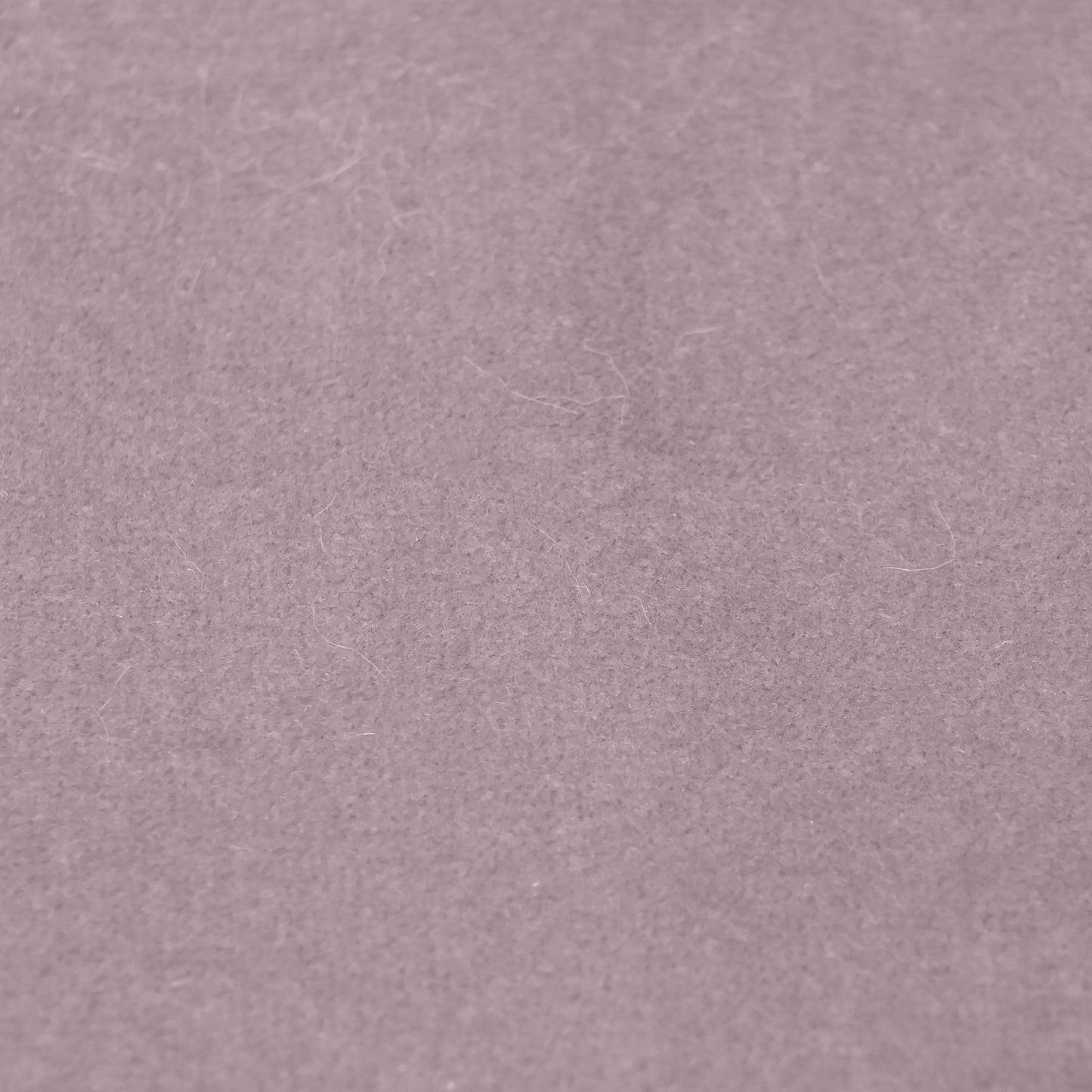 Fabric Sample