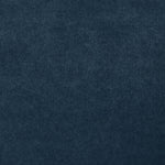 Fabric Sample