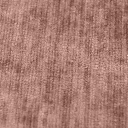 Fabric Sample